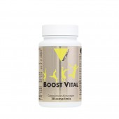 Boost vital 30 comprimés Vitall+